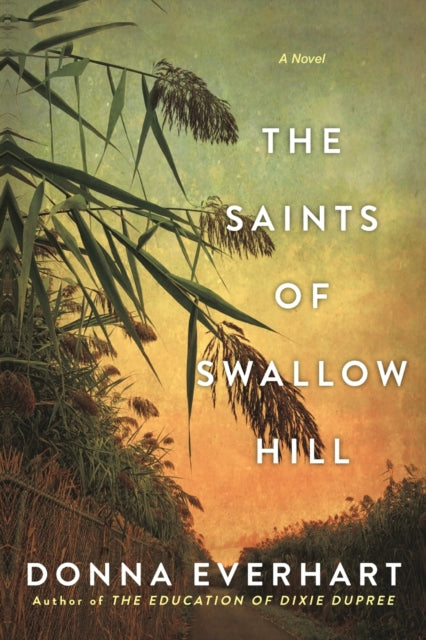 The Saints of Swallow Hill : A Fascinating Depression Era Historical Novel-9781496733320