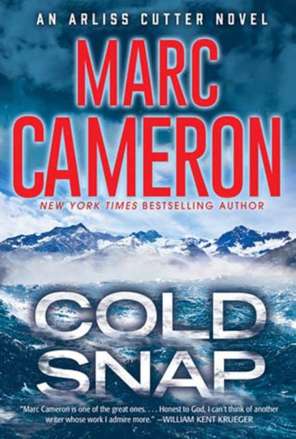 Cold Snap : An Action Packed Novel of Suspense-9781496749208