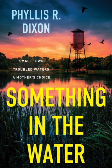 Something in the Water-9781496754196