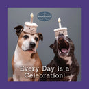 Sookie and Ivy Every Day Is a Celebration-9781497105270