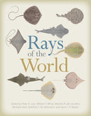 Rays of the World-9781501705328