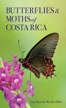 Butterflies and Moths of Costa Rica-9781501781605