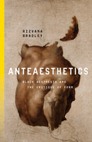 Anteaesthetics : Black Aesthesis and the Critique of Form-9781503637139