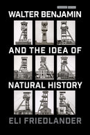 Walter Benjamin and the Idea of Natural History-9781503637702