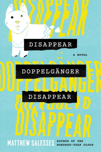 Disappear Doppelganger Disappear : A Novel-9781503943254