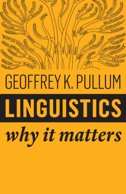 Linguistics – Why it Matters