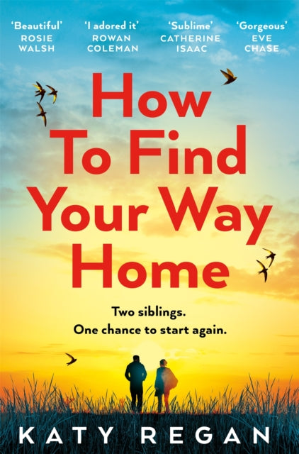 How To Find Your Way Home-9781509837427
