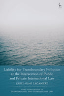 Liability for Transboundary Pollution at the Intersection of Public and Private International Law-9781509951154