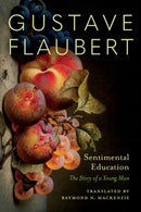 Sentimental Education : The Story of a Young Man-9781517914134