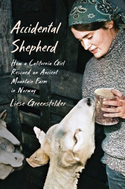 Accidental Shepherd : How a California Girl Rescued an Ancient Mountain Farm in Norway-9781517917661