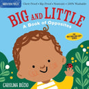 Indestructibles: Big and Little: A Book of Opposites : Chew Proof ? Rip Proof ? Nontoxic ? 100% Washable (Book for Babies, Newborn Books, Safe to Chew)-9781523511143