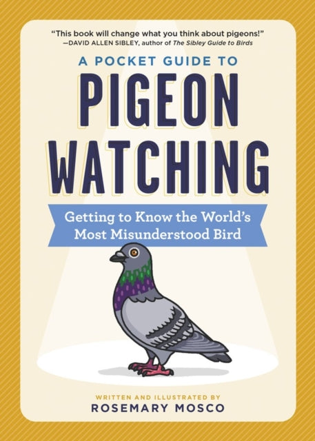 A Pocket Guide to Pigeon Watching : Getting to Know the World's Most Misunderstood Bird-9781523511341