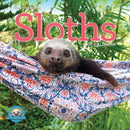 Original Sloths Wall Calendar 2026-9781523529339