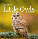 Audubon Little Owls Mini Wall Calendar 2026-9781523531042