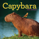 Capybara Wall Calendar 2026-9781523531240