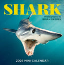 Shark Mini Wall Calendar 2026-9781523531455