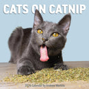 Cats on Catnip Wall Calendar 2026-9781523531523