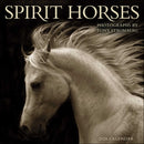 Spirit Horses 2026 Wall Calendar by Tony Stromberg-9781524899066