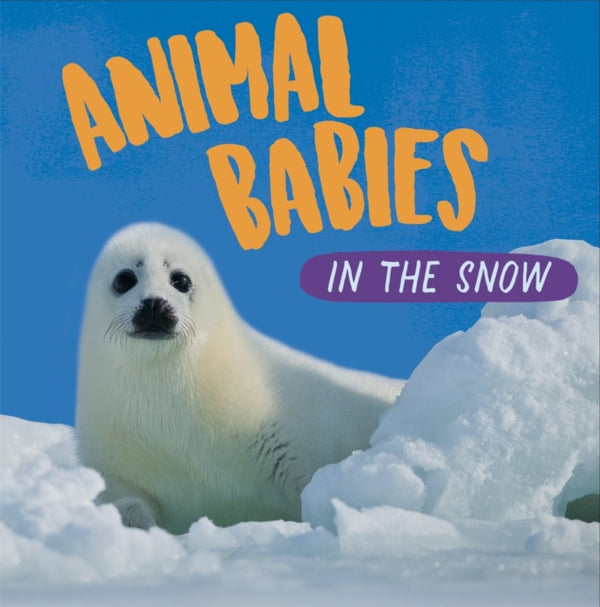 Animal Babies: In the Snow-9781526314437
