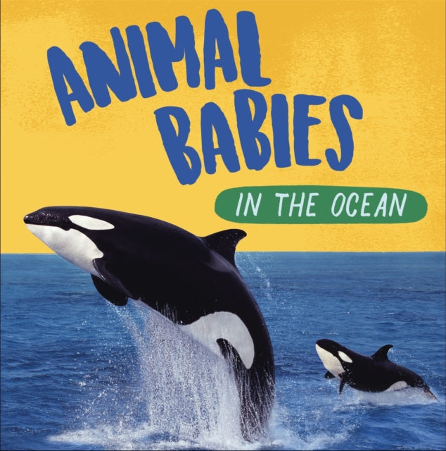 Animal Babies: In the Ocean-9781526314529
