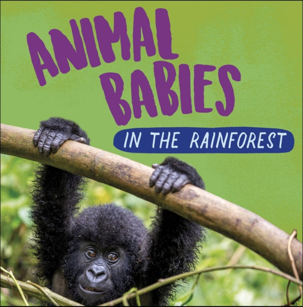 Animal Babies: In the Rainforest-9781526314536