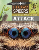 Predator vs Prey: How Spiders and other Invertebrates Attack-9781526314628