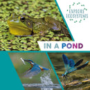 Explore Ecosystems: In a Pond-9781526322456