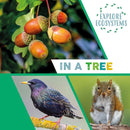 Explore Ecosystems: In a Tree-9781526322470
