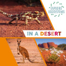 Explore Ecosystems: In a Desert-9781526322494