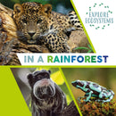 Explore Ecosystems: In a Rainforest-9781526322517
