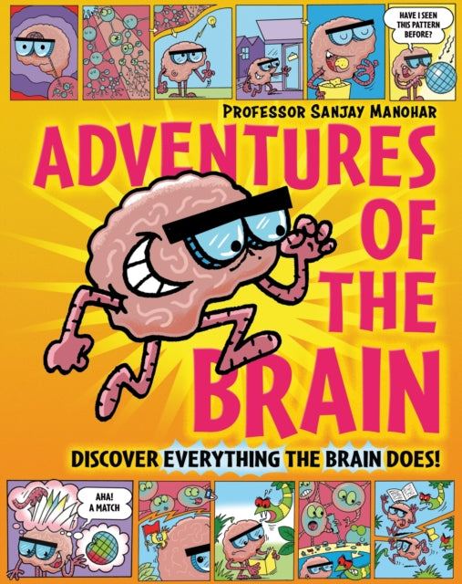 Adventures of the Brain : What the brain does and how it works-9781526323323