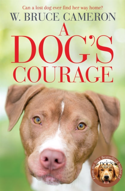 A Dog's Courage-9781529075854