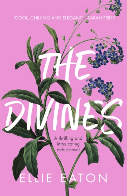 The Divines : A razor-sharp, perfectly twisted debut-9781529340129