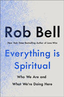 Everything is Spiritual : A Brief Guide to Who We Are and What We're Doing Here-9781529340259