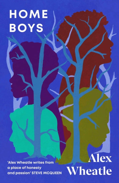Home Boys-9781529429336