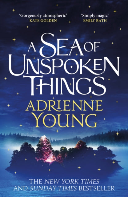 A Sea of Unspoken Things : a spellbinding mystery perfect for winter nights-9781529433708