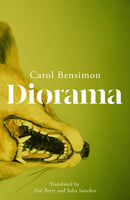 Diorama : an engrossing suspense novel set in 1980s Brazil-9781529438451