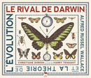Darwin''s Rival: Alfred Russel Wallace and the Search for Evolution
