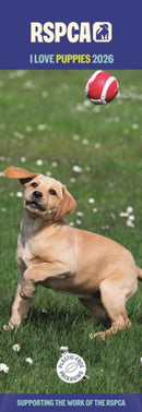 Rspca I Love Puppies Slim Calendar 2026-9781529828672