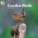 Rspb Garden Birds Square Wall Calendar 2-9781529828733