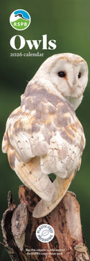 Rspb Owls Slim Calendar 2026-9781529829426