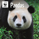 Wwf Pandas Square Wall Calendar 2026-9781529829839