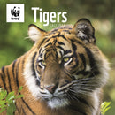 Wwf Tigers Square Wall Calendar 2026-9781529829846