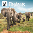 Wwf Elephants Square Wall Calendar 2026-9781529829891
