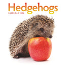 Hedgehogs Square Wall Calendar 2026-9781529830293
