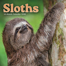 Sloths Square Mini Sunday Start Calendar-9781529834185