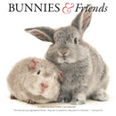 Bunnies Friends Square Wall Sunday Start-9781529847291