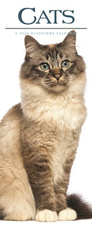 Cats Deluxe Slim Sunday Start Calendar 2-9781529847307
