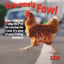 Extremely Fowl Square Wall Sunday Start-9781529847338