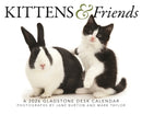 Kittens Friends Box Calendar 2026-9781529847475